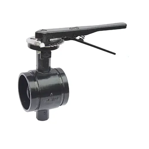 BS EN 593 Valvola a farfalla scanalata con collo lungo